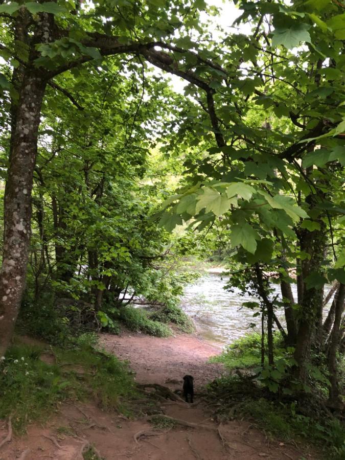 Symonds Yat - Herefordshire Property With Stunning Views Esterno foto